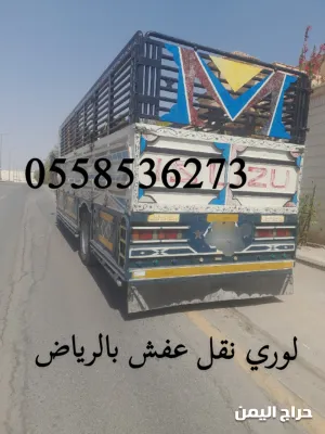 صورة الإعلان