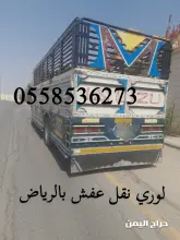 صورة مشابهة