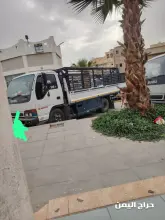 صورة مشابهة
