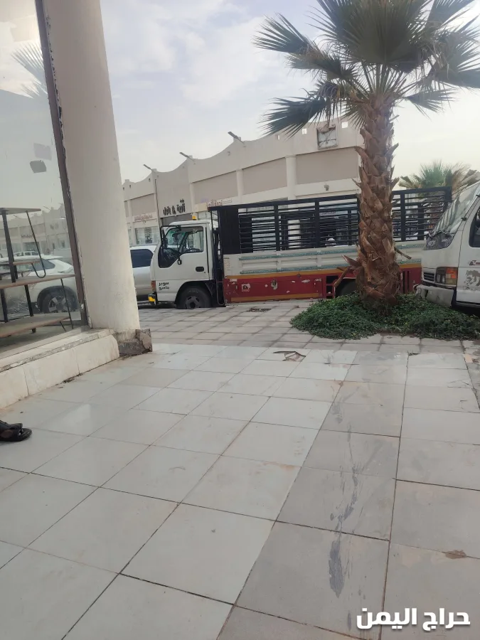 صورة الإعلان