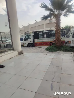 صورة الإعلان