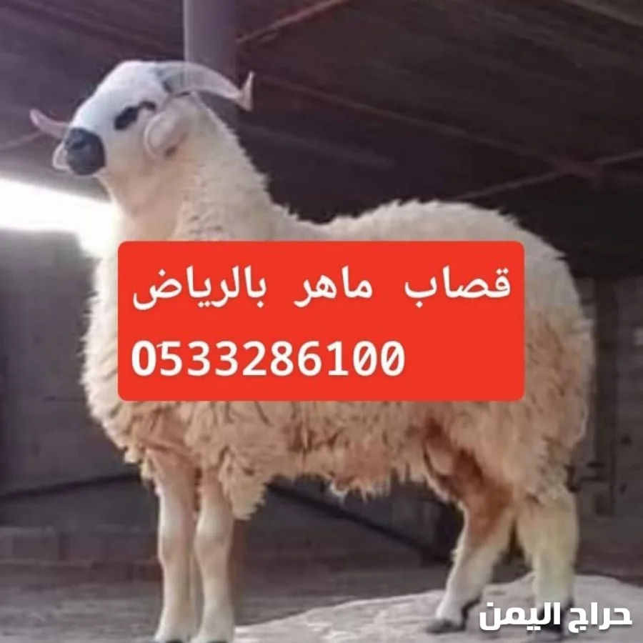 صورة الإعلان
