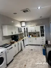 صورة مشابهة