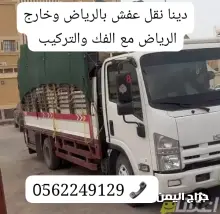 صورة مشابهة