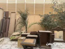 صورة مشابهة