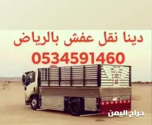 صورة مشابهة