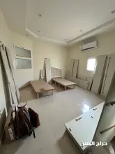 صورة مشابهة