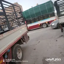 صورة مشابهة