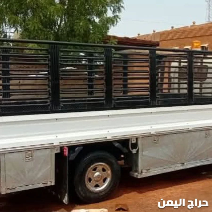 صورة الإعلان