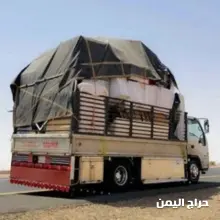 صورة مشابهة