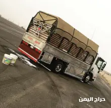 صورة مشابهة