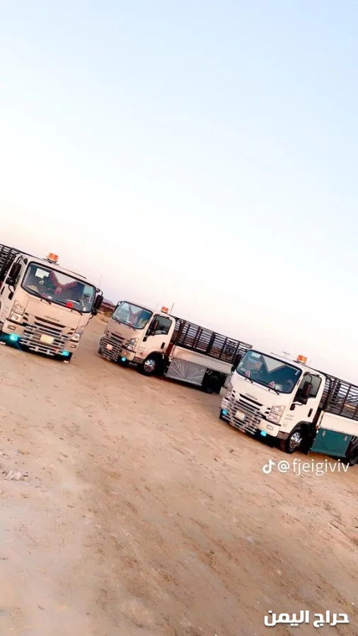 صورة الإعلان