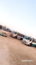 صورة مشابهة