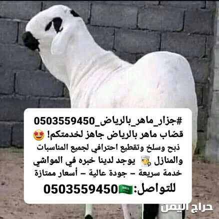 صورة الإعلان