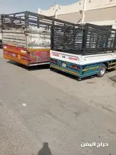 صورة مشابهة
