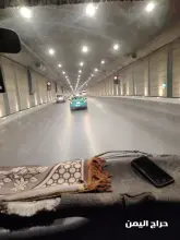 صورة مشابهة